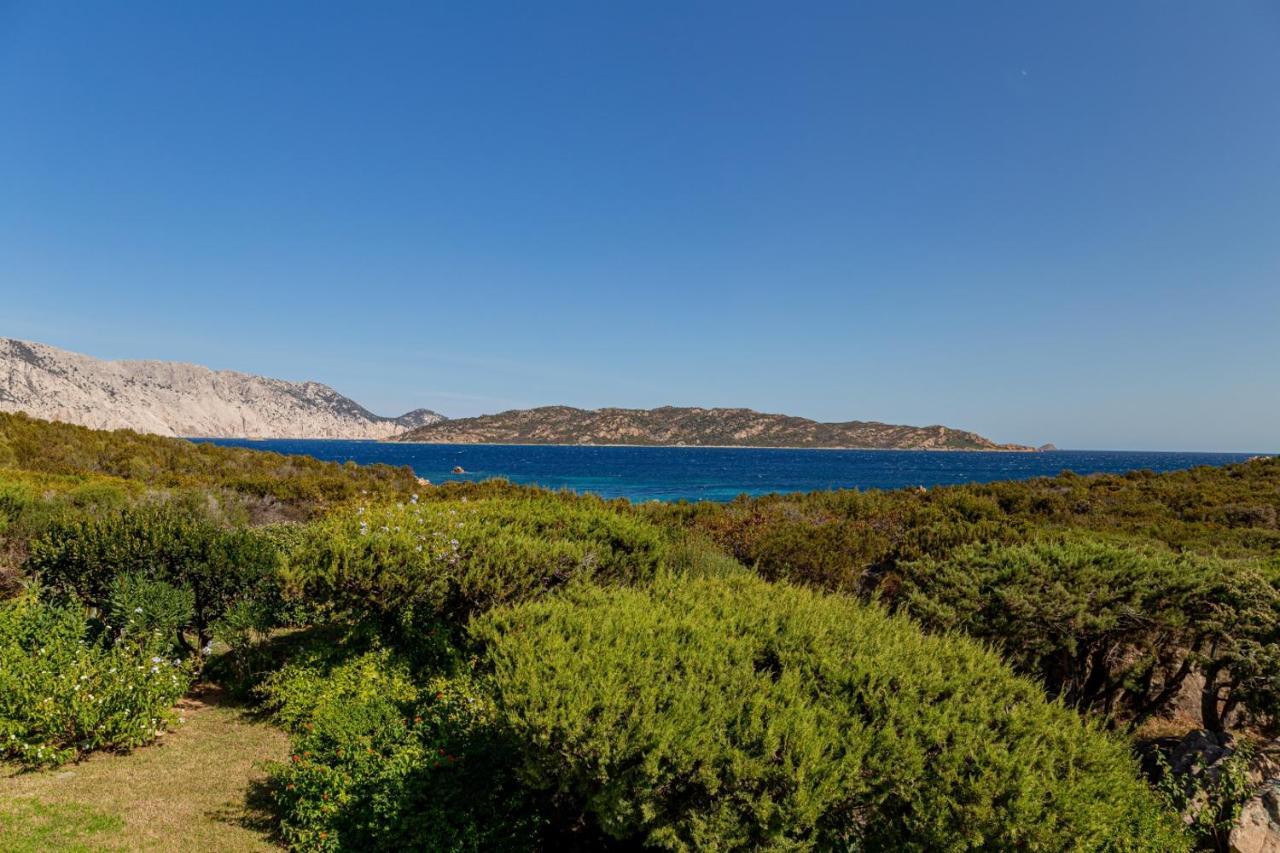 Appartamento Cala Paradiso サン・テオドーロ エクステリア 写真